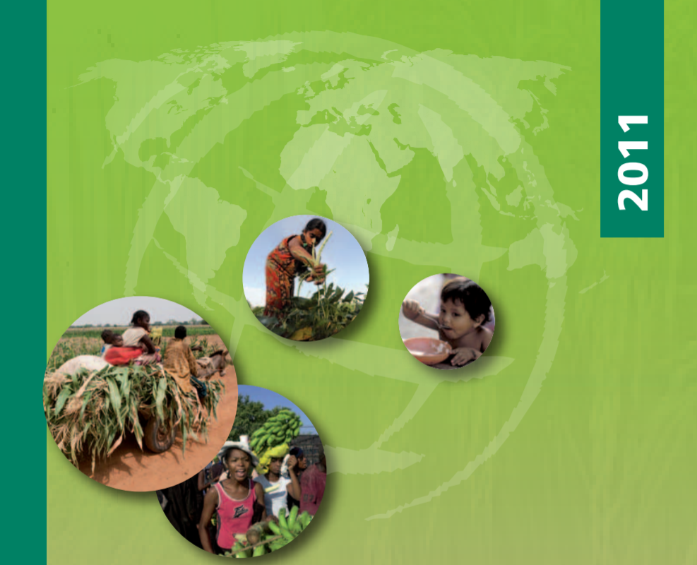  The State of Food Insecurity in the World (How does international price volatility affect domestic economies and food s